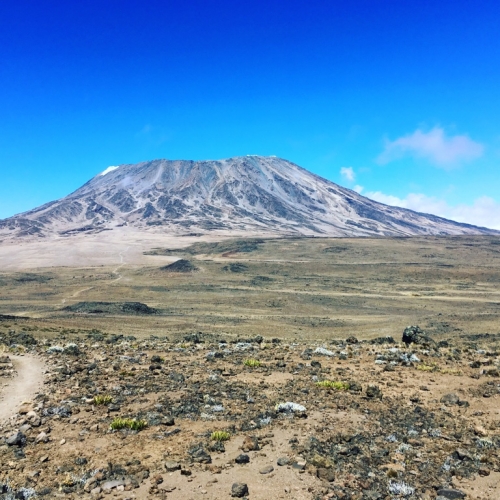 Kilimanjaro edessämme